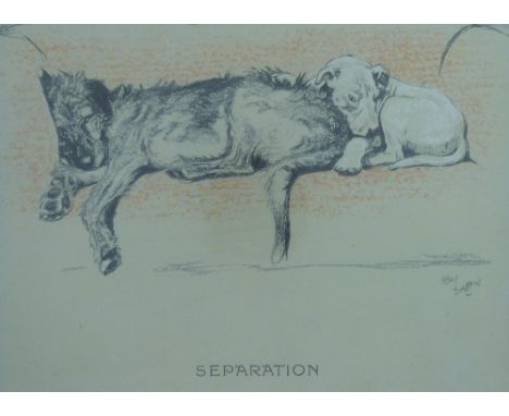 Two coloured Cecil Aldin prints of dogs entitled  'Separation' and 'Undulation', two other terrier prints, a watercolour of a