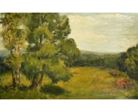 Patricia Langmead (20th Century), 'View from Rake Hill', a landscape, oil on panel, signed with, 20" x 30" (50 x 76cm), from 