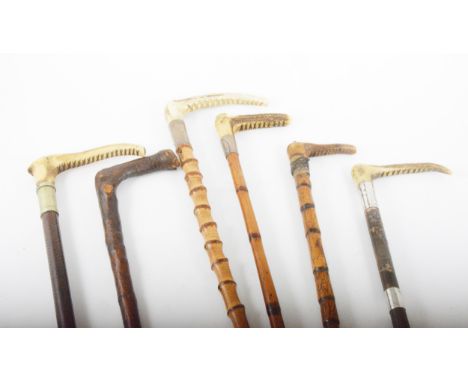 A collection of seven hunting crops, five with stags horn handles, one with a silver collar having a skull and crossbones shi