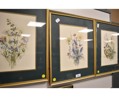 Three botanical plant prints framed and glazed