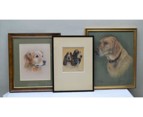 MARJORIE COX - Study of a yellow Labrador, signed and dated 1991 in gilt glazed frame, 49cm x 41.5cm KEVIN HUNT - portrait of