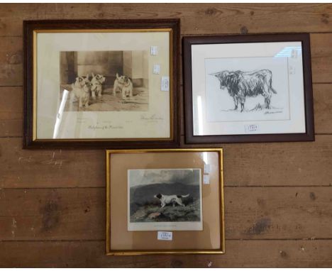 A framed pencil sketch, depicting a Highland cow - signed - sold with a framed engraving entitled 'Setter and Grouse' and ano