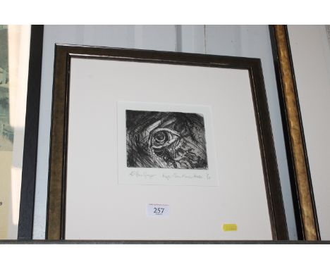 Cherrie McGregor pencil signed limited edition etching ' I - San Marco horse' 1/10