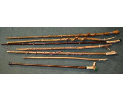 7 walking sticks including 2 Ash walking staffs with honeysuckle twists and silver coloured collars (both overall length appr