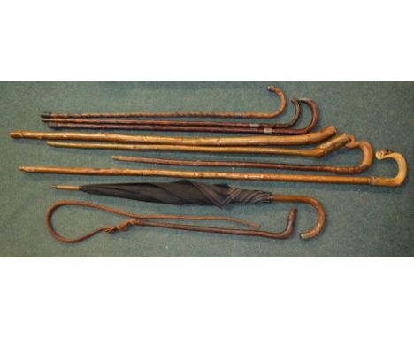 Early C20th umbrella with hallmarked silver collar, two other walking sticks with hallmarked silver collars, driving whip wit