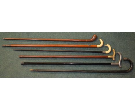 6 wood shank walking sticks, 2 with animal horn handles, one silver coloured metal, another brass handled etc. 