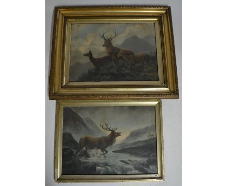 2 framed glazed prints of Stags and wild Deer. Smaller size:51x38.2cmLarger size:63x50.4cm 