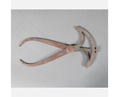 Caliper, steel with scale , 20th Century. 31 cm long