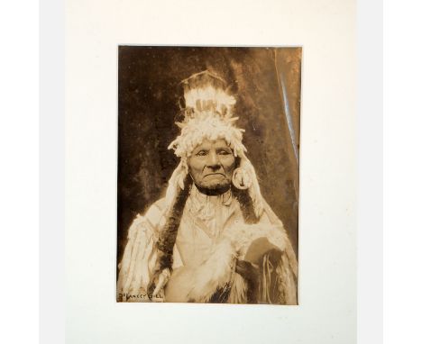 Gill de Lancey (1859-1940), Portrait of yellow bull ( born 1828 ? ), black and white silver gelatin photo , described and sta