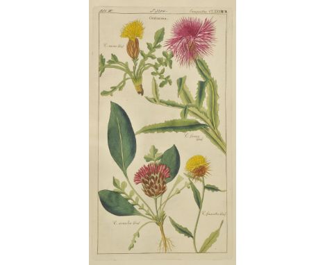 Dietrich (David). [Flora Universalis], volume 2 only, [1832 - 1848], 333 engraved plates with contemporary hand colouring, al