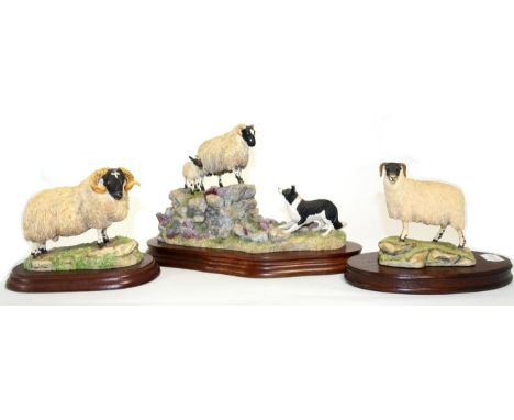 Border Fine Arts 'Holding Her Ground' (Ewe, Lamb and Border Collie), model No. B0198 by Ray Ayres, limited edition 1318/2500,