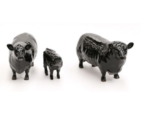 Beswick Cattle Comprising: Aberdeen Angus Bull, model No. 1562, Aberdeen Angus Cow, model No. 1563 and Aberdeen Angus Calf, m