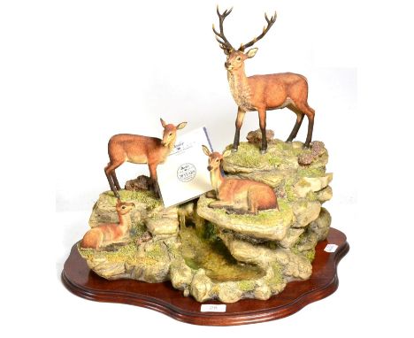 Border Fine Arts 'Monarch of Glen Mhor' (Red Stag and Hinds), model No. BFA205 by David Walton, limited edition 75/500, on wo