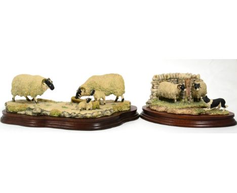 Border Fine Arts 'What Now?' (Swaledale Sheep and Collie), model No. L120 by Ray Ayres, limited edition 9/1250, on wood base,