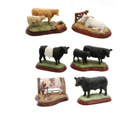 Border Fine Arts Studio Cattle Models Comprising: 'Aberdeen Angus Bull' (Style Two), model No. A0740, 'Aberdeen Angus Cow and