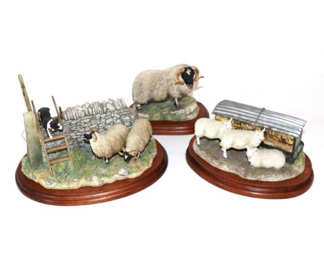 Border Fine Arts 'Blackfaced Tup' (Style Two), model No. 169 by Anne Wall, 'Autumn Hay' (Cheviot Ewes by Hayrack), model No. 