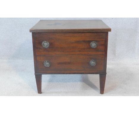 A 19th century mahogany commode cabinet with hinged top and dummy drawers on square tapering supports. H.48 W.53 D.43cm 
