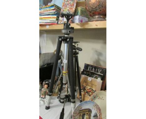2 camera tripods and one other item.