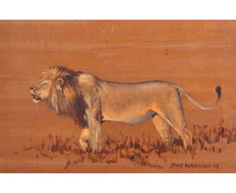Mark Hankinson (20th - 21st Century) British. Study of a Lion, Oil on Panel, Signed and Dated '02, 9" x 14".