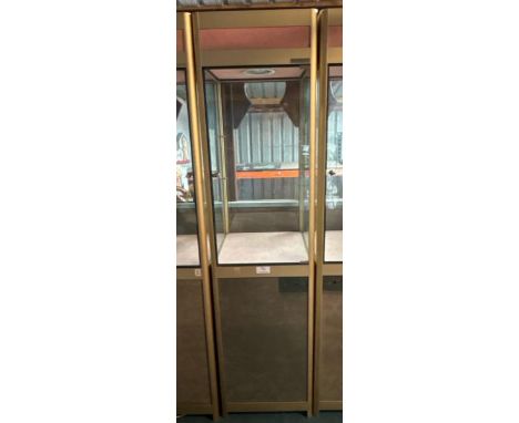 A tall glass display cabinet, with light, without internal glass shelf,  200cm (h) x 50cm (w) x 50cm (d)  / All lots are loca