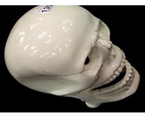 White ceramic decorative skull, H: 23 cm. P&amp;P Group 2 (£18+VAT for the first lot and £3+VAT for subsequent lots) 