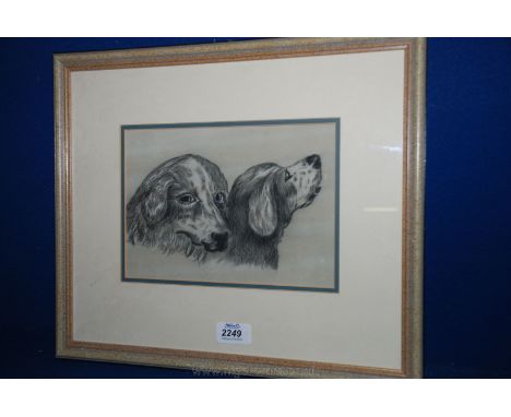 A framed and mounted Sketch of two dogs, unsigned but inscribed verso 'Amy Hobbs', 9'' x 6 1/2''.