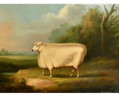 William Henry Davis (1786-1865) British, portrait of a prize winning sheep, oil on canvas, signed and dated 1850, inscribed '