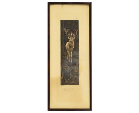   HOESS,  Eugen Ludwig(1866 Immenstadt im Allgäu - 1955 Langenwang) Der Hirsch des heiligen HubertusRadierung in Sepia. Bleis