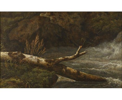             Unsigniert: Birkenstamm am FlussuferÖl/Leinwand. Unsigniert. 19. Jh. 31x 49 cm. Gerahmt41 x 59 cm.             De