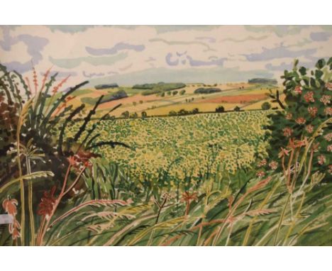 Hockney print - 'A Gap in the Hedgerow', 2004, 37cm x 56.5cm, framed and glazed