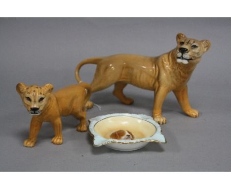 A BESWICK LIONESS, facing right, No.2097 and Lion Cub, facing left, No.2098, together with a paragon ashtray, depicting a dog