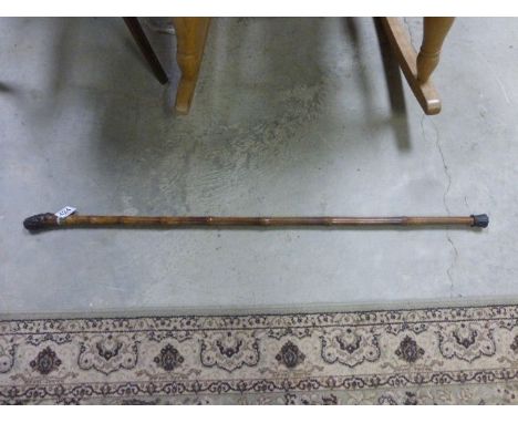 Bamboo walking stick with root handle and built in horse measure