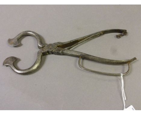 Vintage steel sugar beet cutter with engraved decoration      