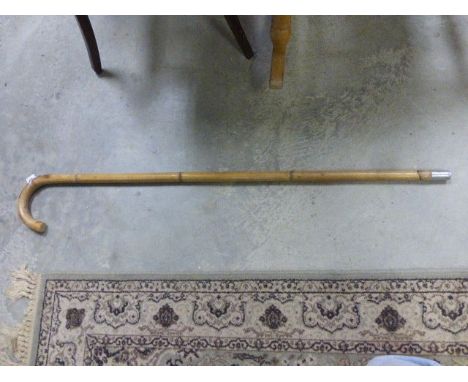 Bamboo walking stick with built in horse measure