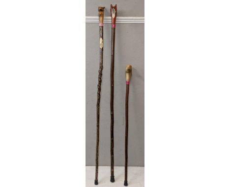 Two hiking sticks and one walking stick, the fox hiking stick and the duck walking stick both made from straight hazelwood wi