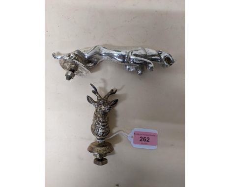 A vintage plated Stag head car mascot, and a chrome plated Jaguar bonnet car mascot Location: 