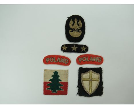 Small Selection of Polish Badgesconsisting embroidery Polish eagle cap badge on black backing complete with embroidery 3 rank