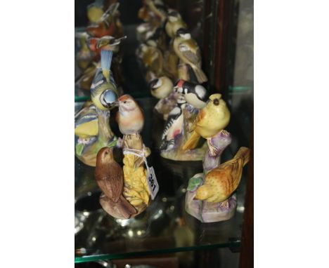 A SET OF SIX ROYAL WORCESTER DOUBLE BIRDS ON TREE STUMPS, 'Linnets' 3365, 'Yellow Hammers' 3377, 'Blue Tits' 3375, 'Pied Wood