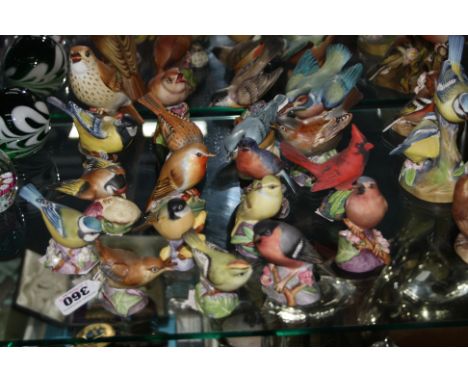 NINETEEN ROYAL WORCESTER BIRDS, 'Wren' 3198, 'Thrush' 3234, 'Kingfisher' 3235, 'Goldcrest' 3338, 'Bullfinch' 3238, 'Sparrow' 