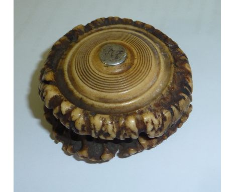 2 sectional antler snuff box