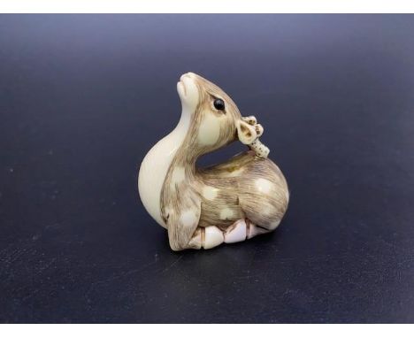 A finely carved Japanese Edo period ivory netsuke modelled as a seated fawn, with stained detailing, himotoshi to base and ba