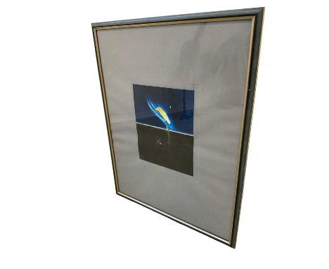 Craigie Aitchison (1926-2009) screen print, Yellow bird, certificate verso states this is signed and numbered 16/160 (no disc