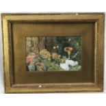 Victorian English School watercolour - Still Life Mossy Bank, in glazed gilt frame