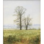 John Ridgewell (1937-2004) mixed media - Two Trees, Stoke by Nayland, signed, inscribed verso, in gl