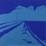 Mimei Thompson, contemporary, pair of acrylics on canvas - Blue Fields, 71cm square Provenance: Thom