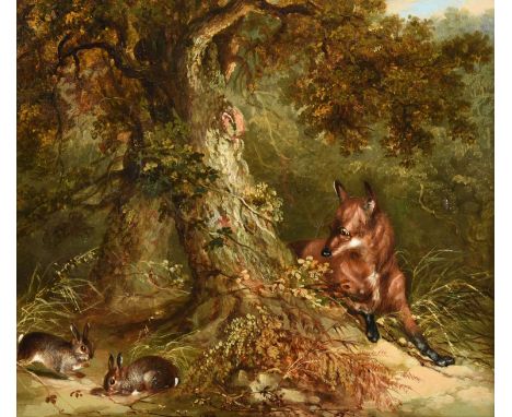 George Armfield (1808-1893)Fox and rabbits in vegetationOil on canvas, 21.5cm by 25cmProvenance: A Private Estate, North York