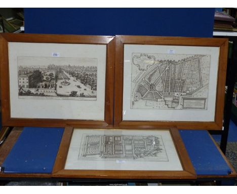 Three framed Plates to include; No:10 Plants of The Garden of The Duke of Parma on The Palatine Mountains, No:11 View of The 