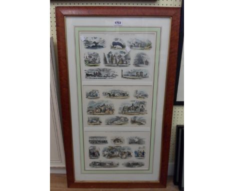 A maple framed coloured multi-image print entitled The Juvenile Scrap Sheet