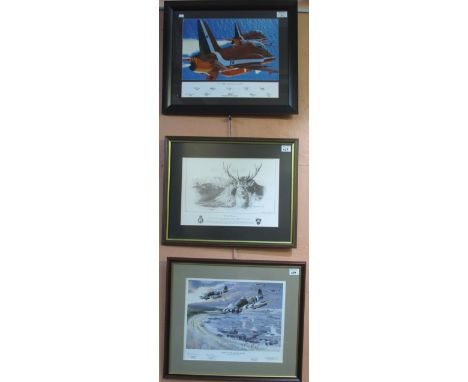 'Forty Years of Excellence', a photograph of The Red Arrows by E.J. van Kernigsveld, with team signatures, framed and glazed,