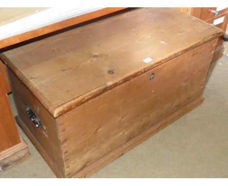 Pine trunk